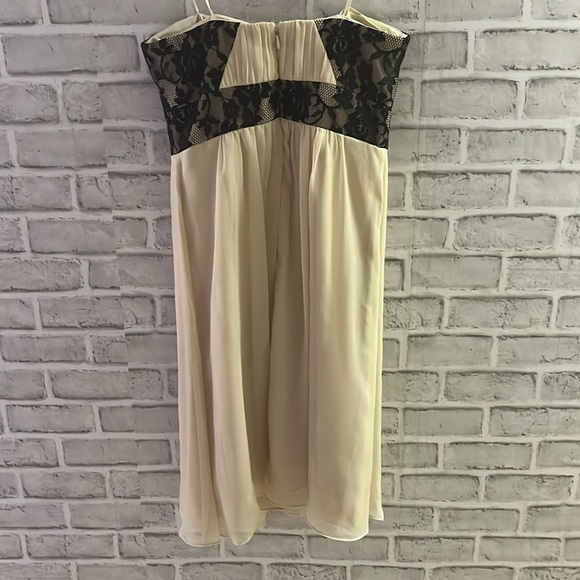 Max and Cleo by BCBG size 2 sleeveless cocktail/wedding chiffon and lace - Picture 6 of 8